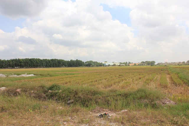 anh 1