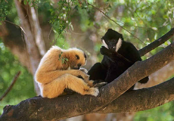 Đi thuyền trên lòng hồ Sông Mực để khám phá nét đẹp của 21 hòn đảo lớn nhỏ.