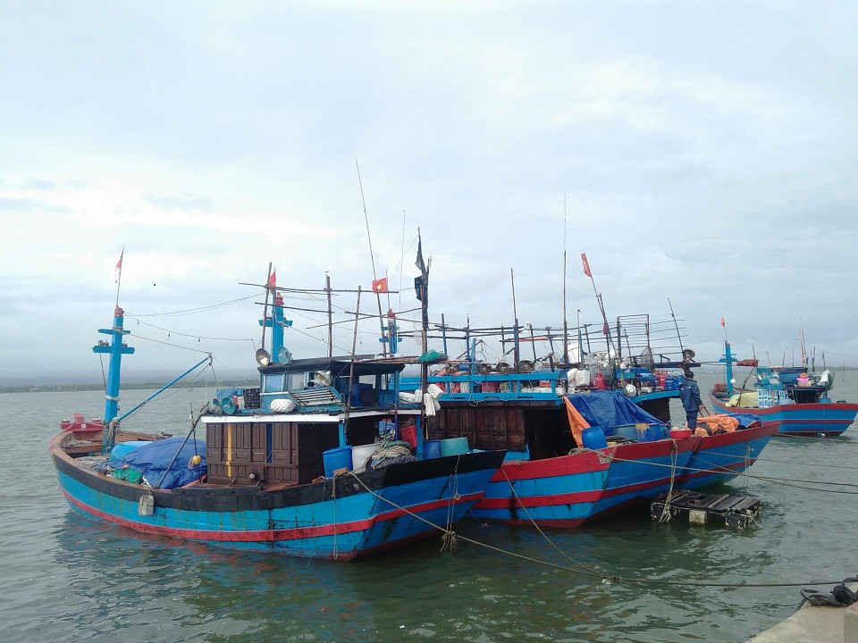 Các tàu thuyền chạy vào trú tránh bão ở âu thuyền