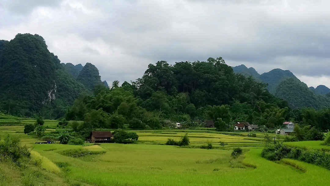 Ảnh 2 Vùng quê