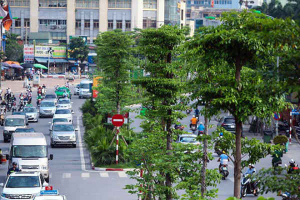 một triệu cây xanh