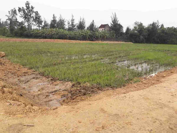 Khu vực mở rộng nghĩa trang Hàn Vông đang thi công dở