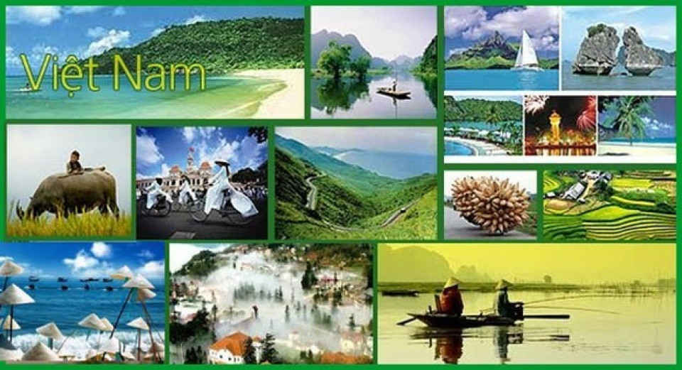 083041 anh minh hoa (1)