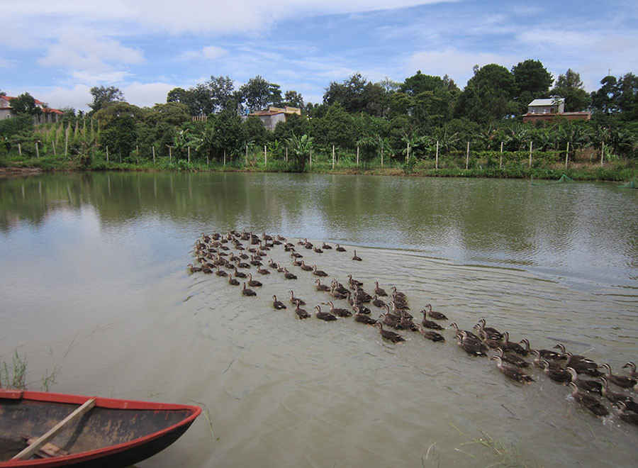 image001