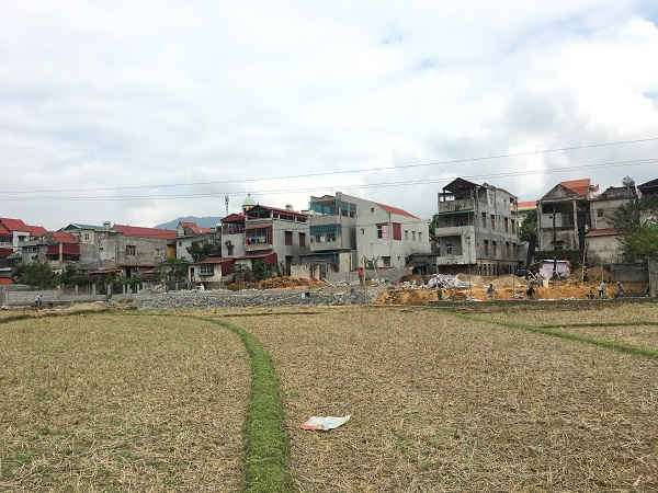 Ngang nhiên san lấp hàng nghìn mét vuông đất lúa trái phép