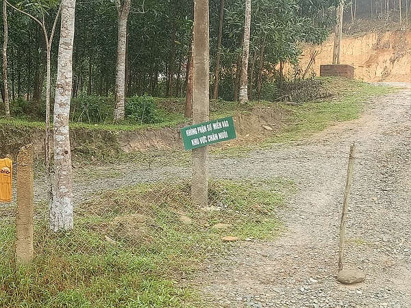 Đường vào ngôi biệt thự ở khu vực rừng khe Nái, xóm Trung Sơn, xã Thanh Mai