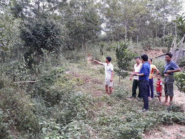 Năm 2018, tỉnh Nghệ An cấp được gần 2 triệu giấy CNQSDĐ cho hộ gia đình, cá nhân