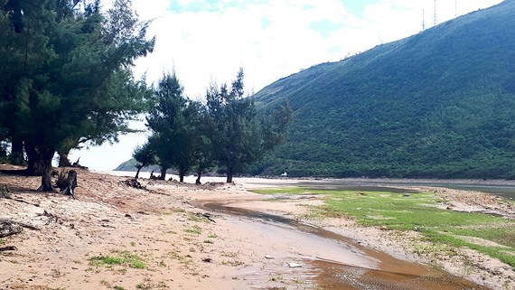 bồi lấp sông