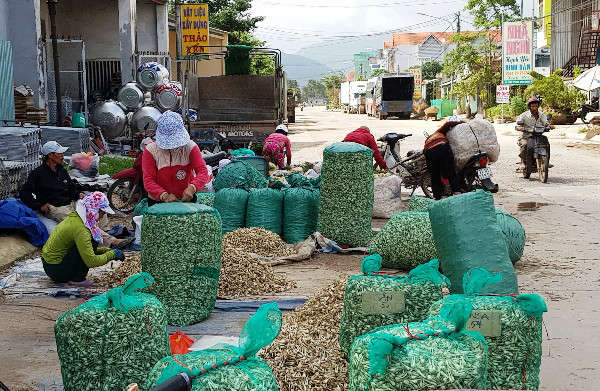 mùa kiệu 2