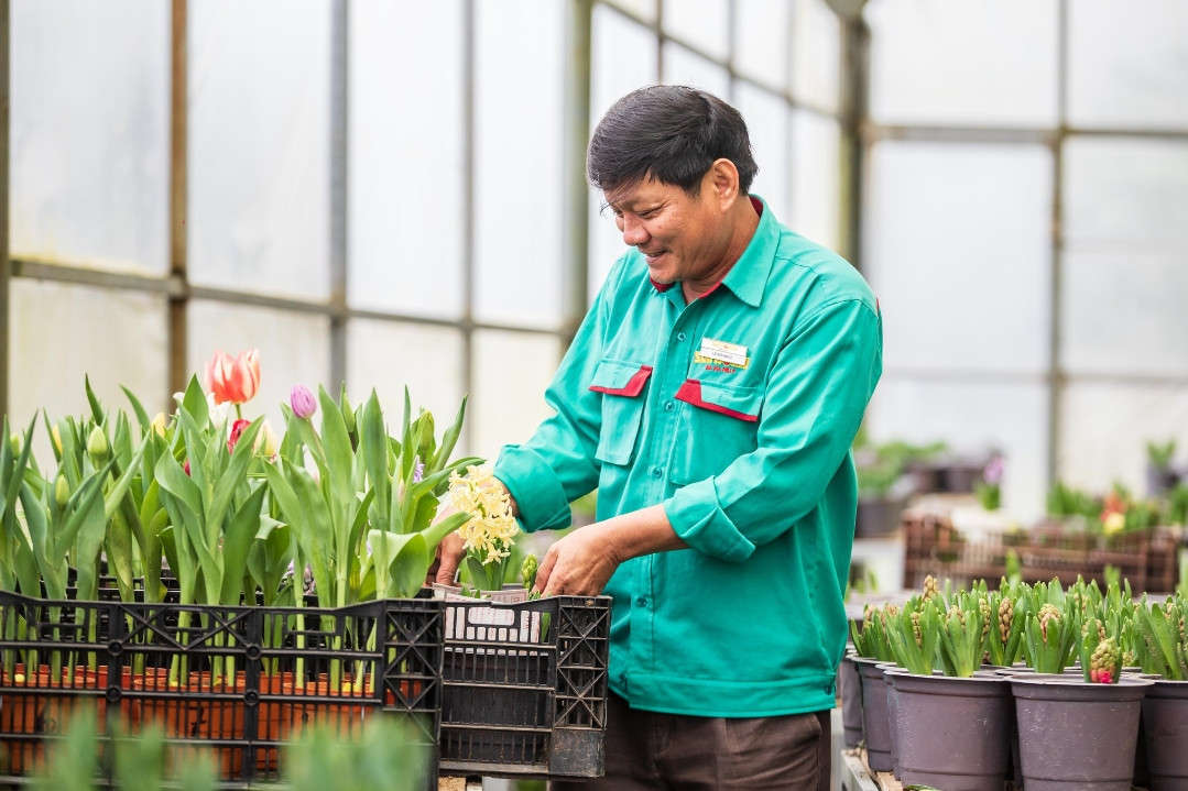 Thổ nhưỡng và thời tiết khắc nghiệt ở Bà Nà khiến cán bộ cây xanh nơi đây phen khốn đốn (3)