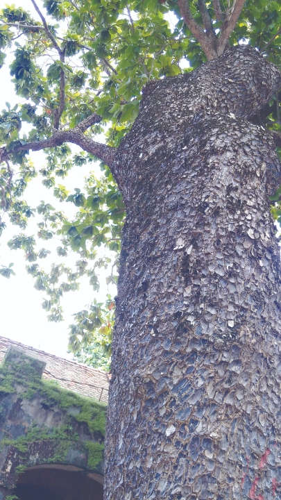 IMG 20170930 093053