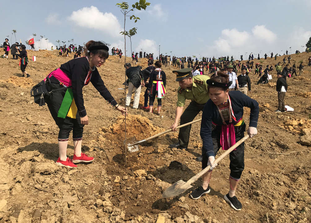 Trồng cây đầu xuân