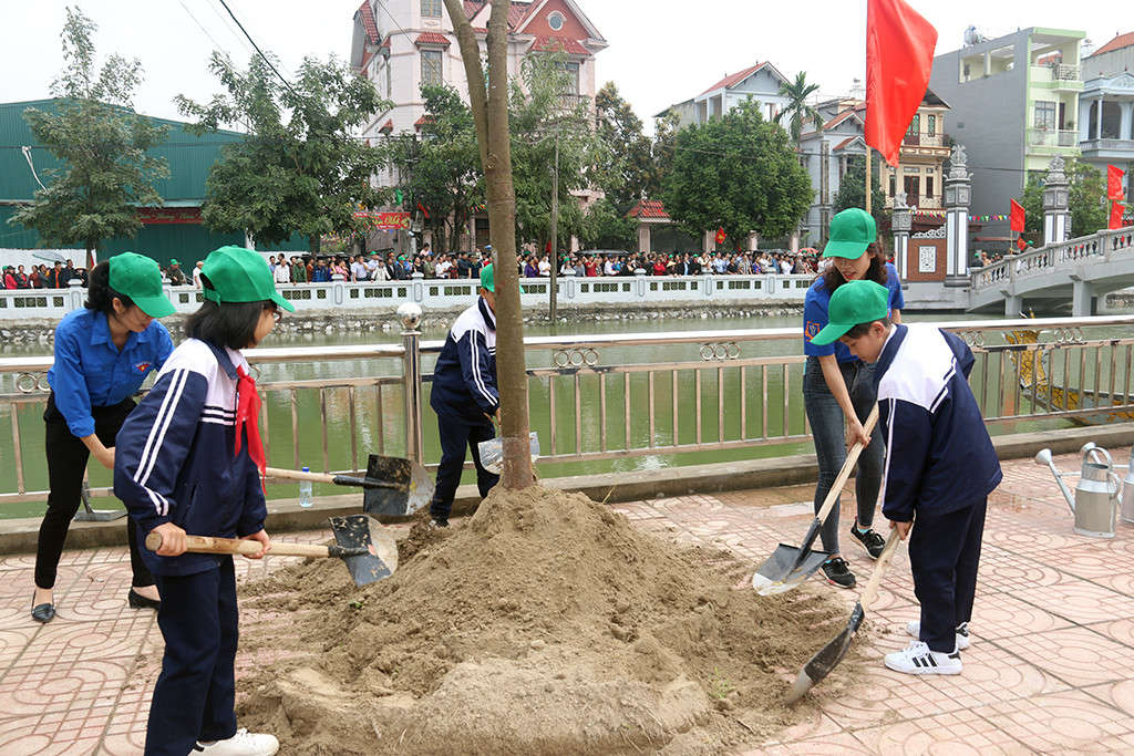 TTg trồng cây ĐA 11