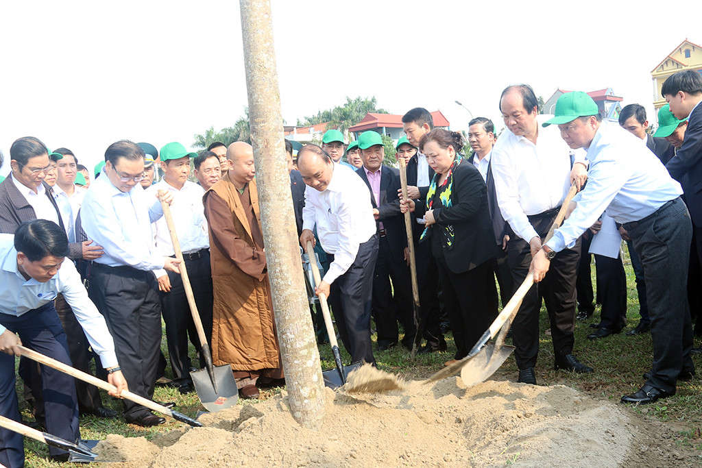 TTg trồng cây ĐA 5