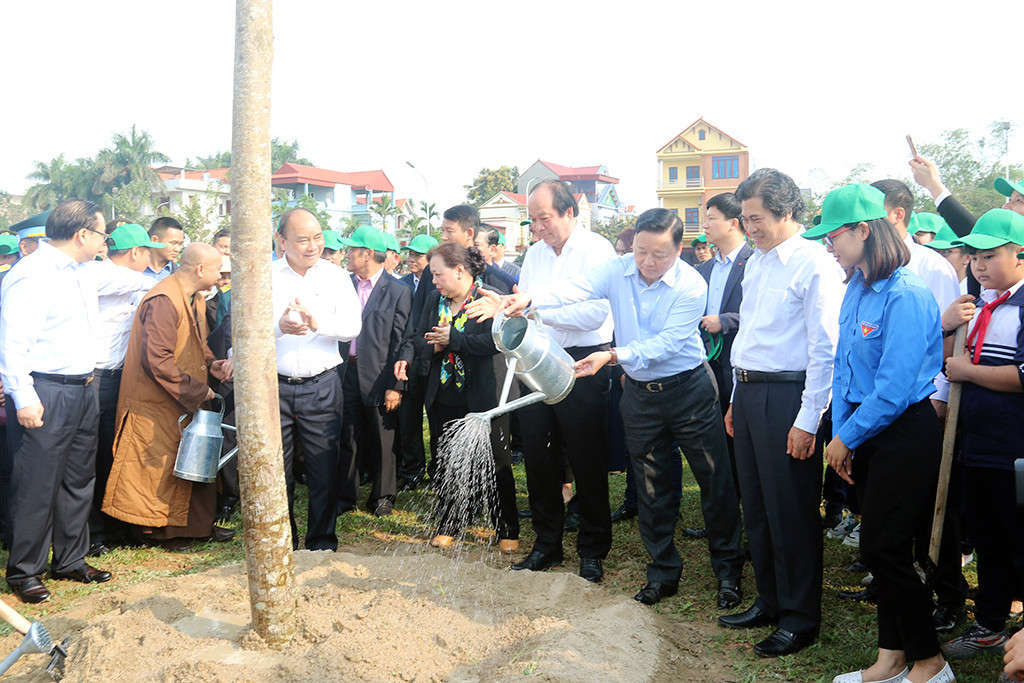 TTg trồng cây ĐA 6
