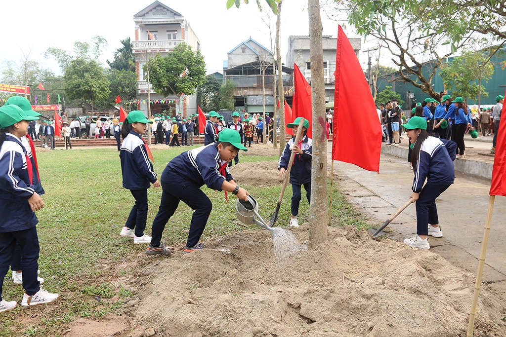TTg trồng cây ĐA 9
