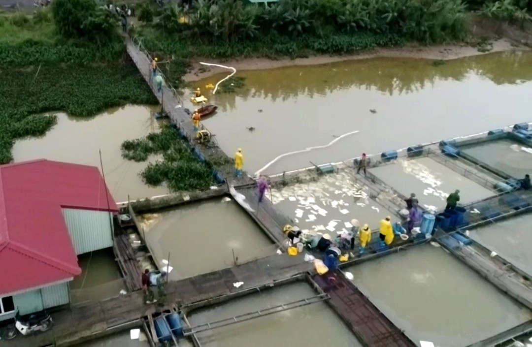 Tràn dầu 2