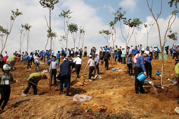 Yên Bái tham gia trồng cây, trồng rừng vụ xuân trong không khí phấn khởi