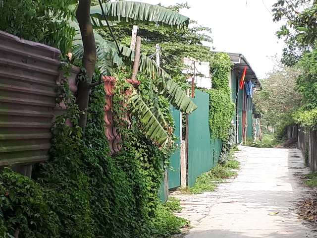 anh 1, nha xuong Manh Hoang