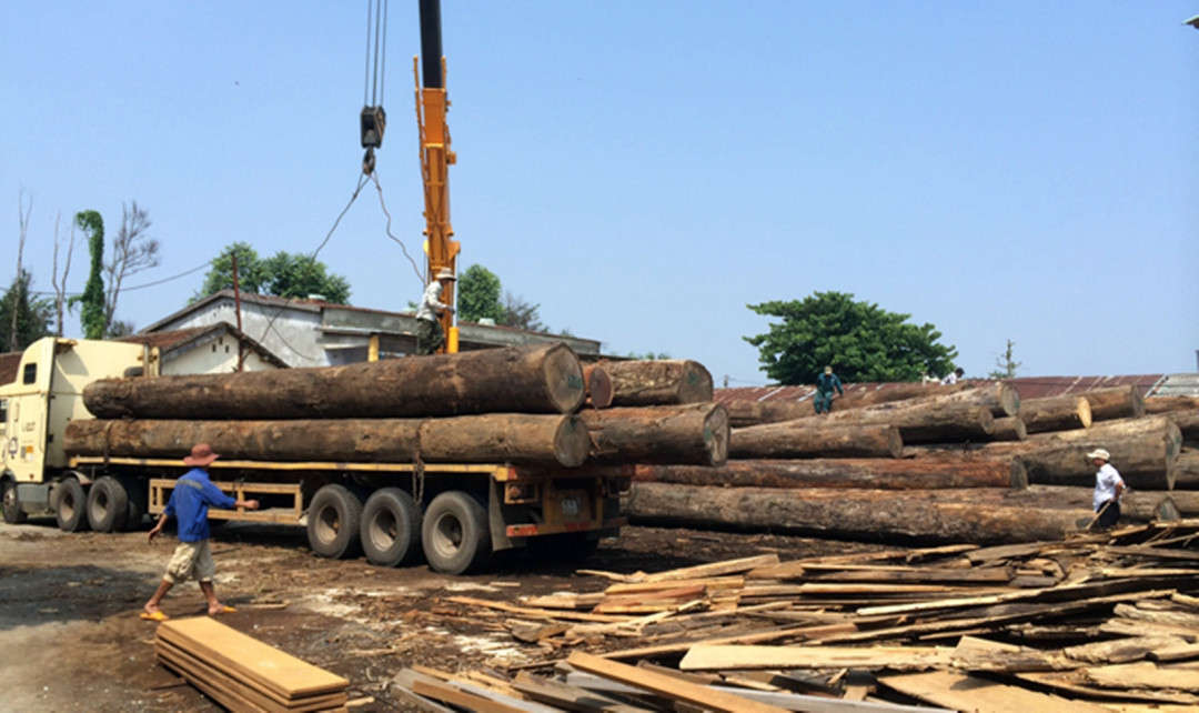 Khi đang thực hiện các bước kỹ thuật để tháo dỡ các khúc gỗ trên xe tải xuống thì bất ngờ gỗ từ trên xe rơi xuống đè trúng người lái xe, khiến nạn nhân tử vong