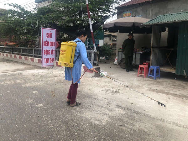 tổ chức phun tiêu độc, khử trùng, tẩy uế môi trường