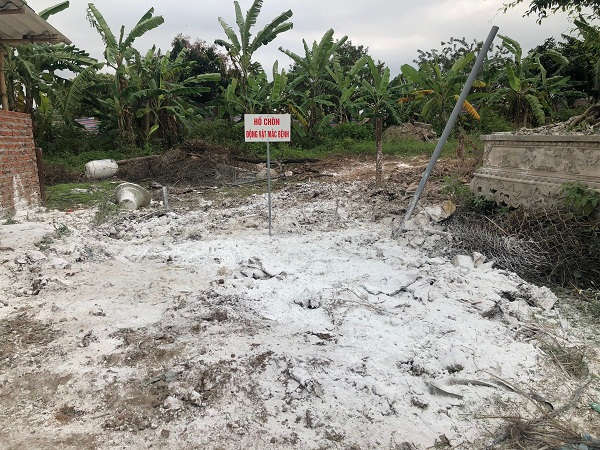 Dịch tả lợn châu Phi bắt đầu lan rộng tại huyện Sóc Sơn, Đông Anh