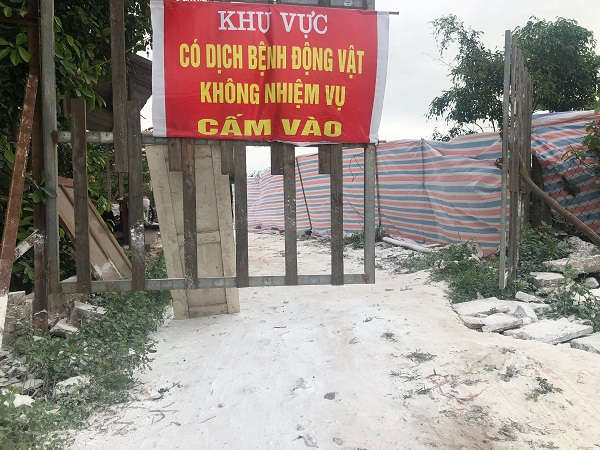Tại các các ổ dịch đã phát hiện tiểu hủy, địa phương
