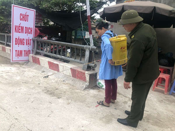 Ngành thú y và chăn nuôi thường xuyên tổ chức phun tiêu độc khử trùng