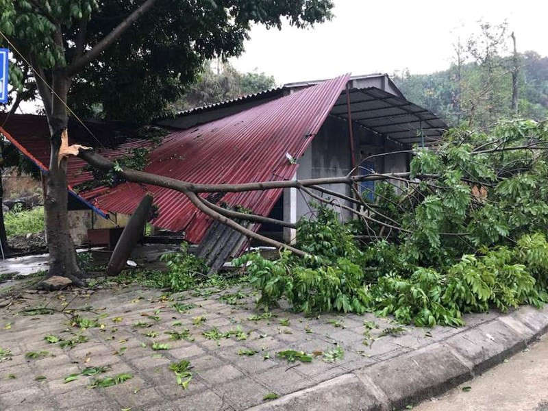 bac kan 1 copy znfd