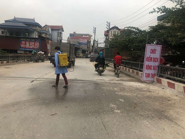 Hà Nội: Tăng cường công tác chỉ đạo phòng, chống dịch tả lợn châu Phi