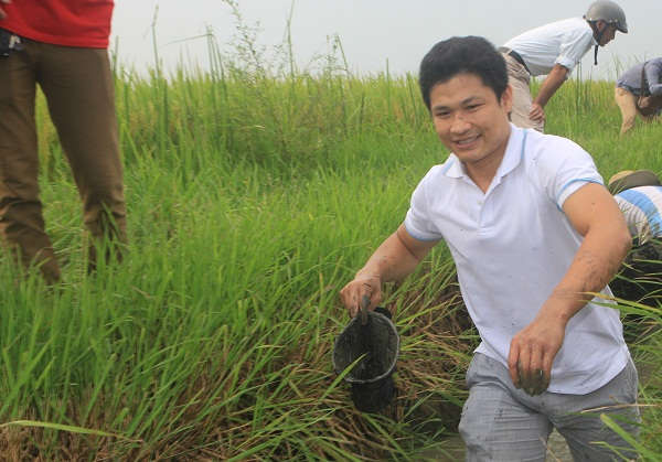 Việc không dùng phân vô cơ, không phun thuốc trừ cỏ nên