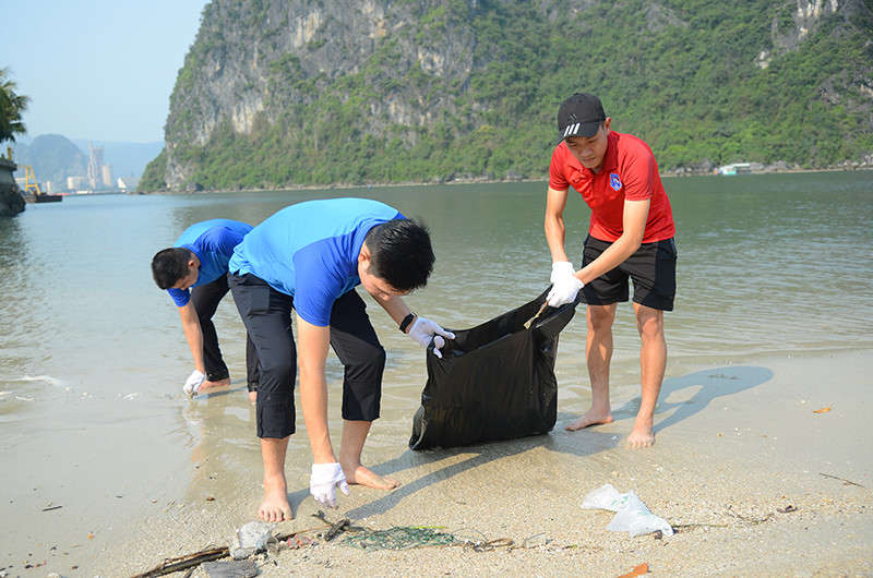 Bầu Tam 3
