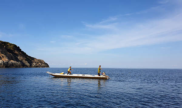Biển CĐ