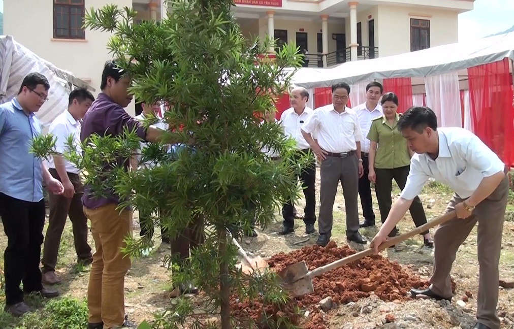 Ảnh trồng cây tại tuần lễ nước sạch