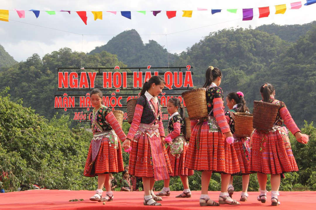 Ngày hội hái quả Mộc Châu lần thứ V gồm 9 nội dung hấp dẫn