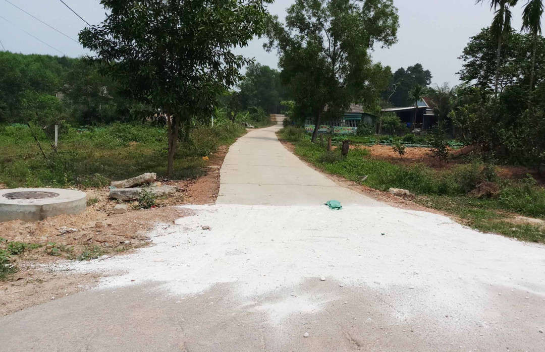 Rải vôi trắng ở các vùng dịch để hạn chế lây lan
