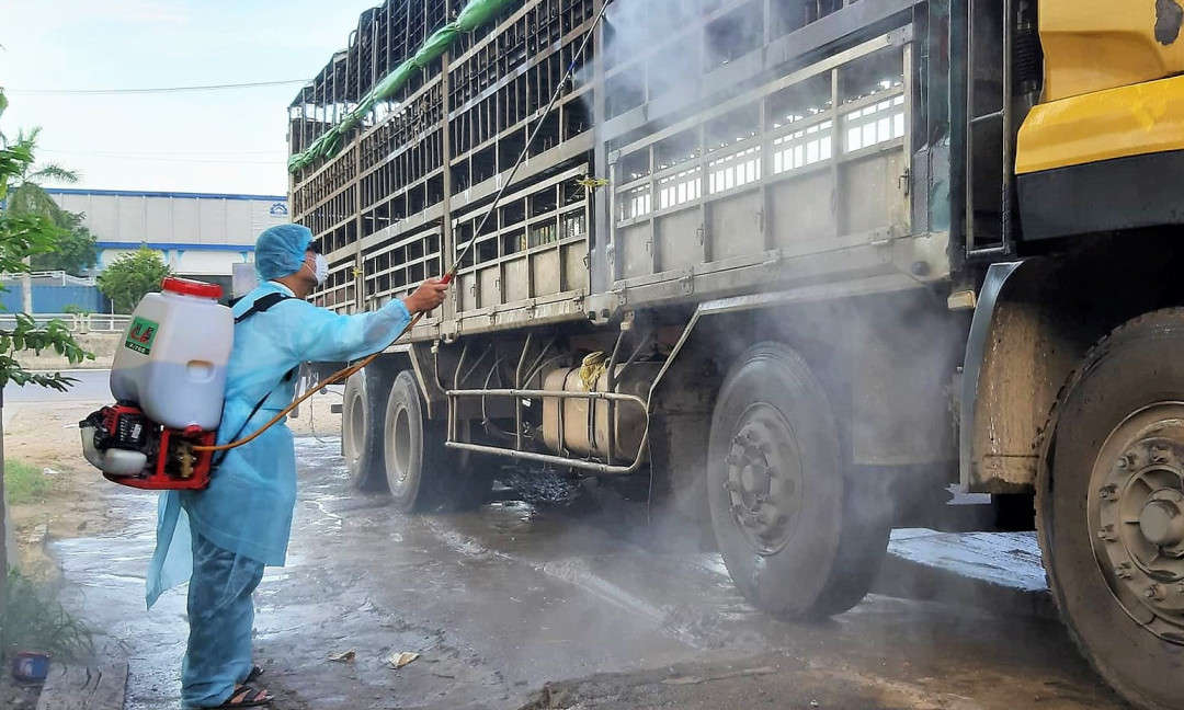 Lực lượng chức năng phun thuốc tiêu độc, khử trùng