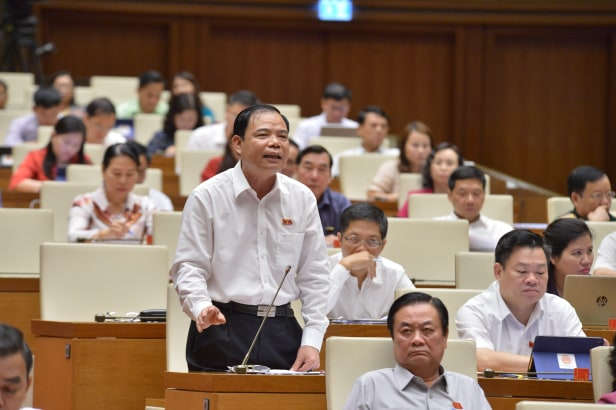 BT X Cường