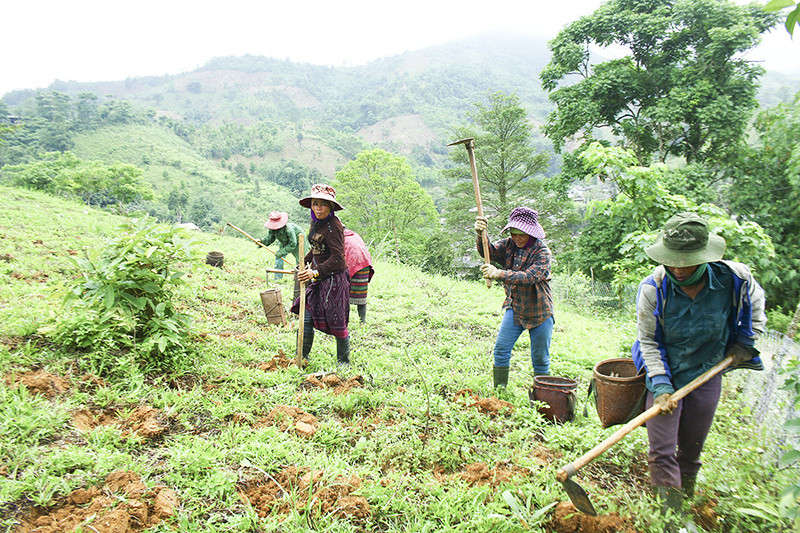 Anh dat dai cho dong bao DTTS