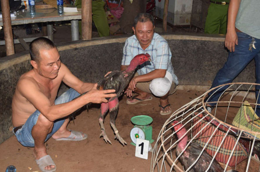Hiện trường vụ việc