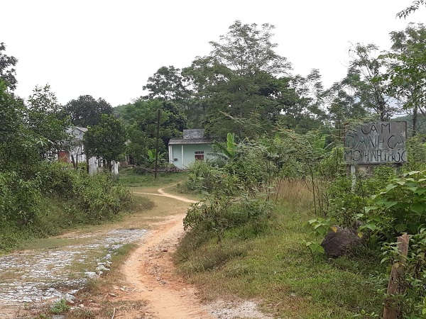Khu nhà văn phòng làm việc nằm lấp ló sau những lùm cây, không một bóng người