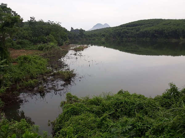 Một hố lớn sâu hoắm, xung quanh là cây keo xanh bạt ngàn