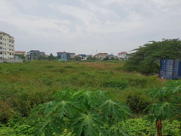 Đã gần 9 năm được thuê đất, nhưng đến nay khu đất này vẫn là khu đất trống cỏ mọc um tùm
