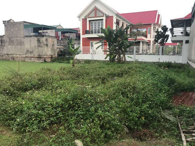 Anh 1 (1)