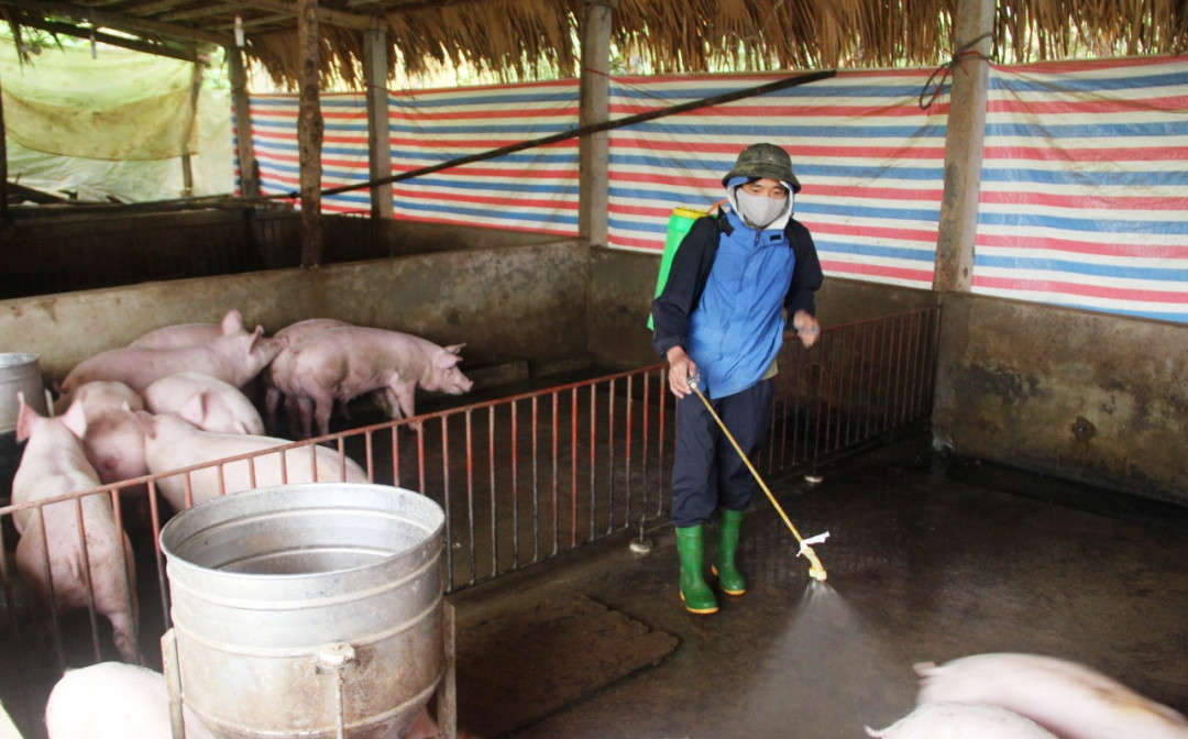 Việc chôn lấp phải đảm bảo môi trường nhằm hạn chế và không để dịch bệnh lây lan rộng.