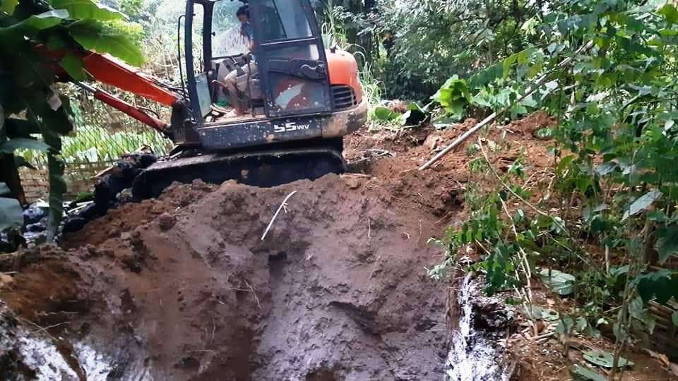 Tổng số lợn mắc bệnh, chết và bị tiêu hủy trên địa bàn tỉnh Yên Bái gần 5.000 con