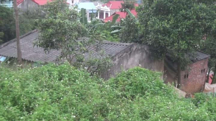 Ảnh 2 Nhiều hộ xây nhà