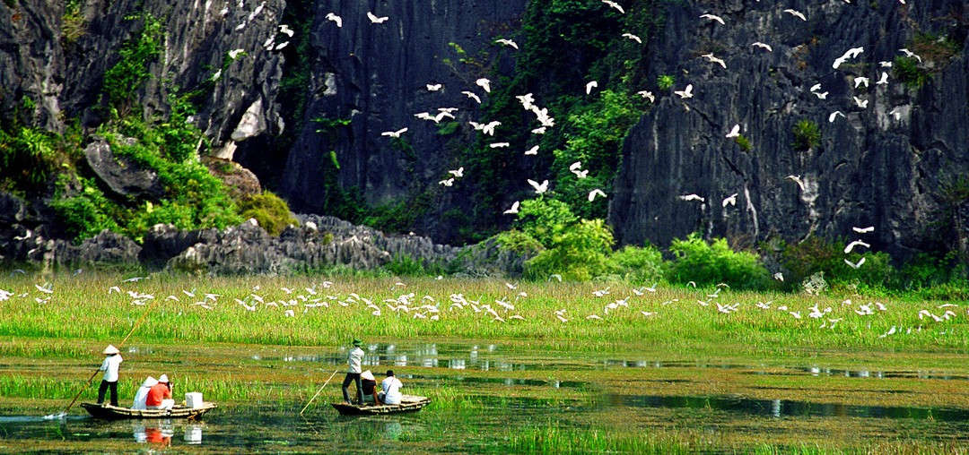 Nhà nước khuyến khích cộng đồng tham gia bảo tồn và phát triển vùng đất ngập nước (Ảnh minh họa)