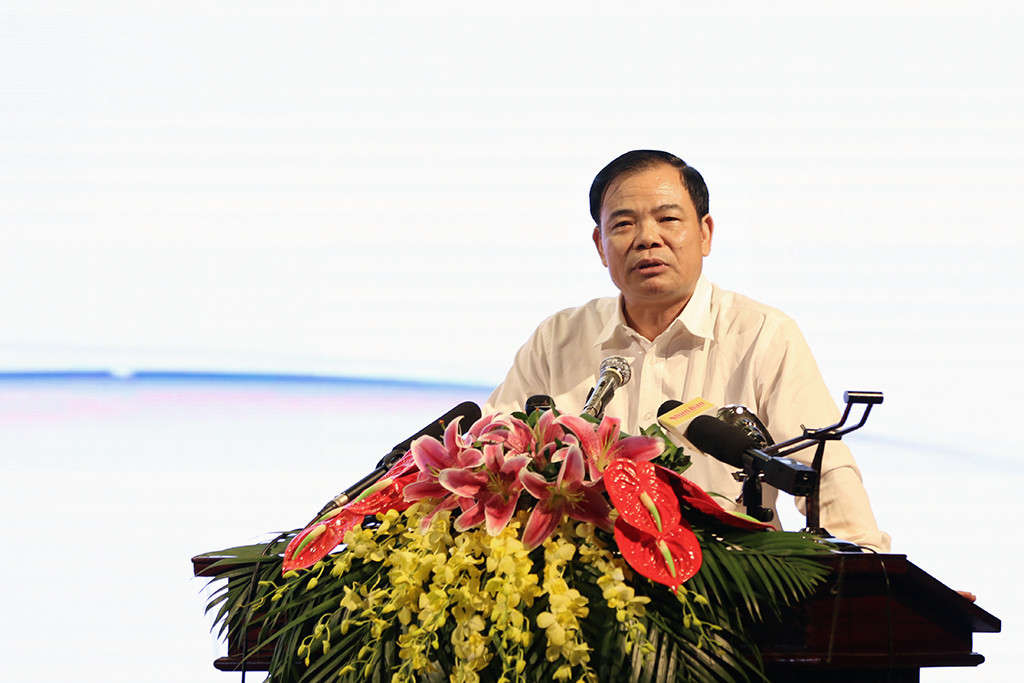 HoaBinh 7