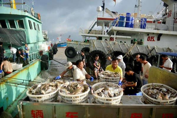 Bão Wipha đổ bộ Hồng Kông, trường học, thị trường tài chính phải đóng cửa